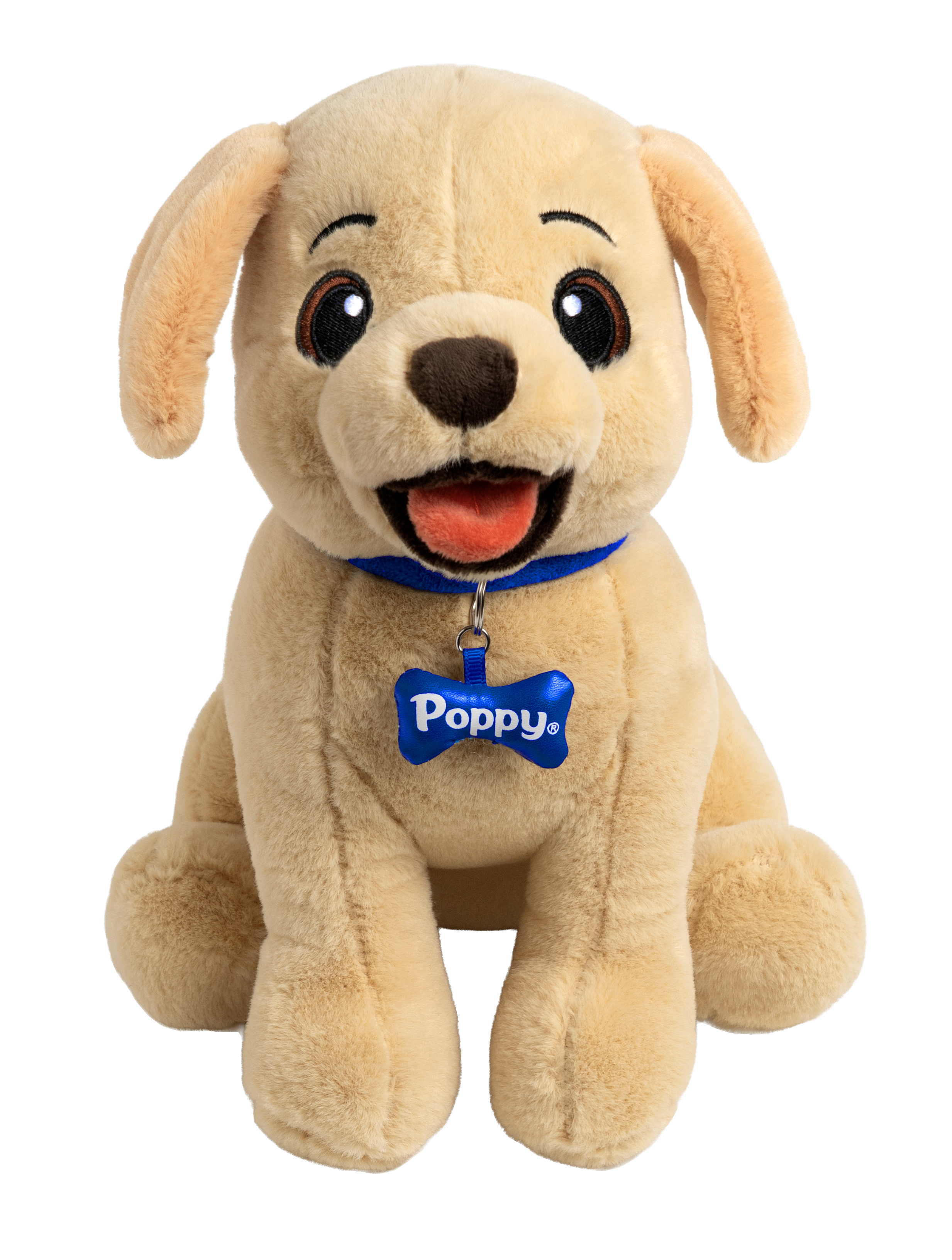 Premio Poppy Collar